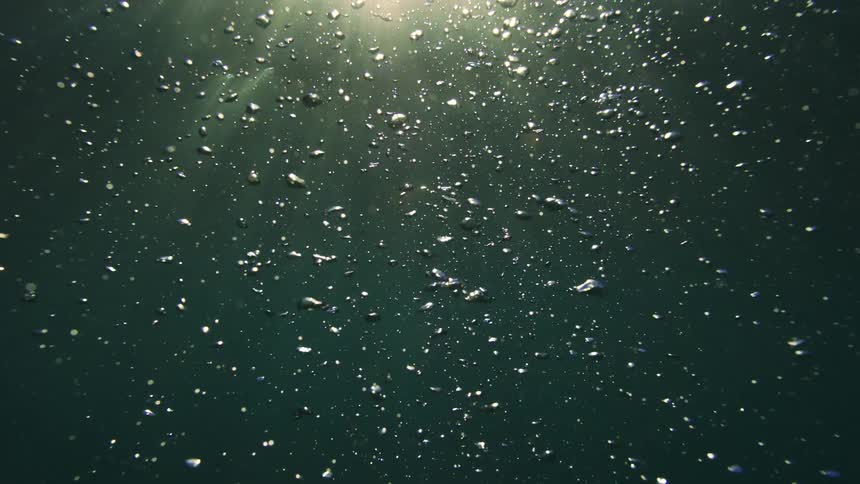 Sunbeams shine down into the deep green ocean as air bubbles float slowly towards the surface