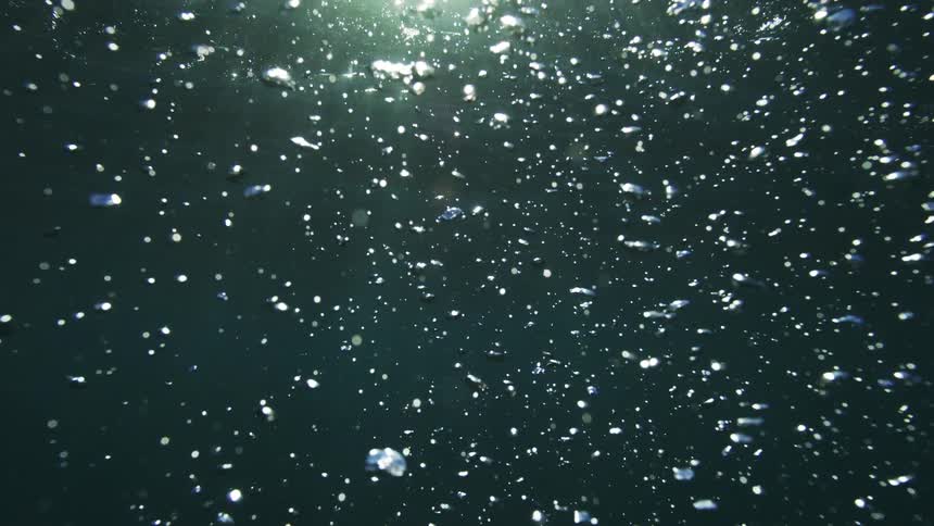 An ethereal underwater view shows countless bubbles rising slowly toward the sunlit surface