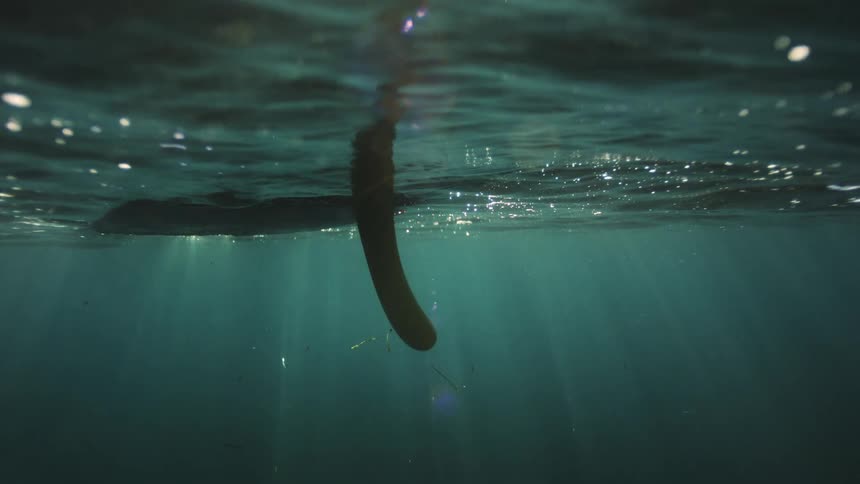 An underwater view of a surfboard fin in the calm ocean with sun rays shining through the surface