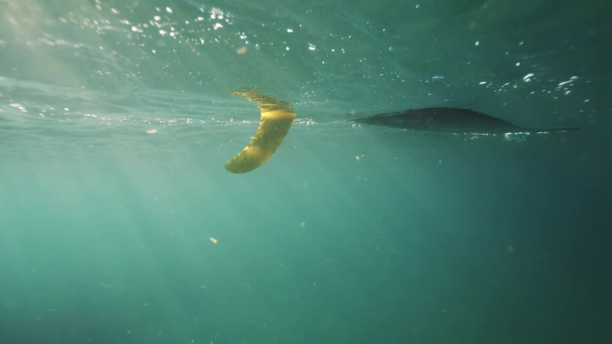 Underwater view of a surfboard fin resting on the tranquil ocean surface with sunbeams filtering through the water