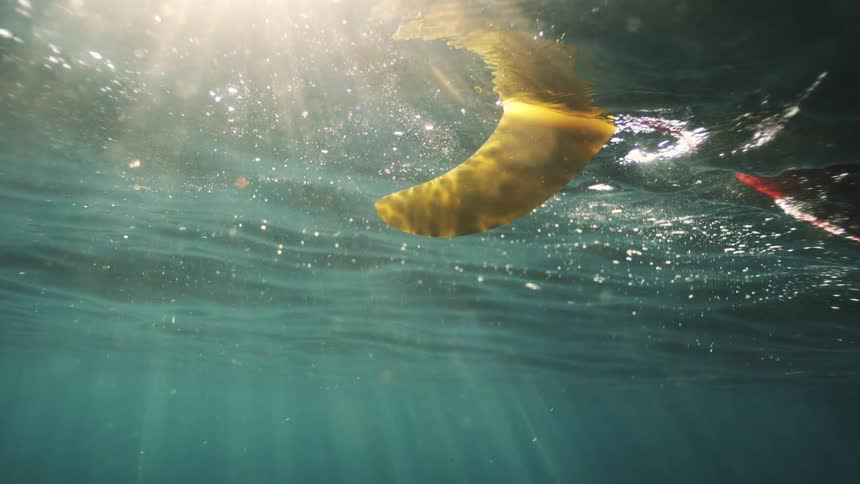 An underwater view of a surfboard fin floating in the ocean as beautiful sunlight streams through the water