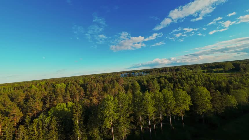 An immersive aerial flight soaring over a vast, sun-kissed green forest towards a distant lake under a beautiful blue sky
