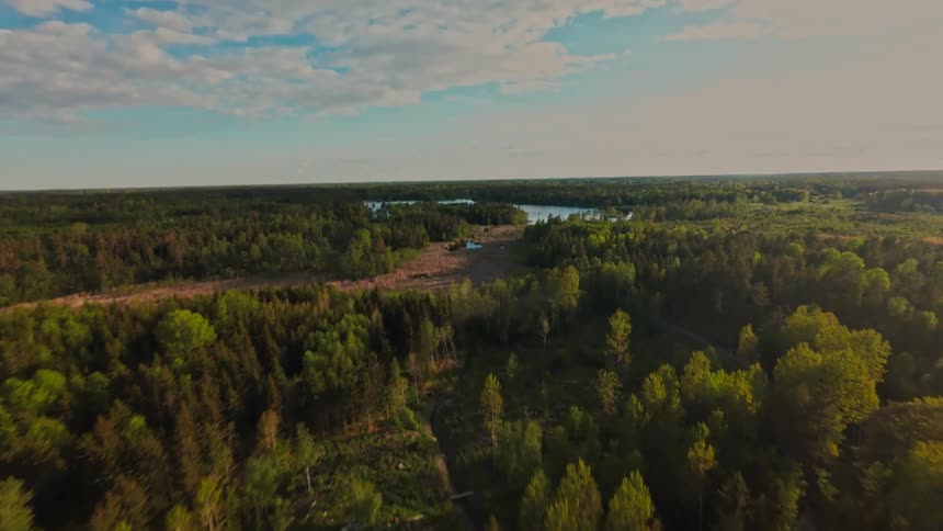 An aerial top-down view of a dense forest tilts up to reveal a vast, beautiful landscape with a lake on the horizon