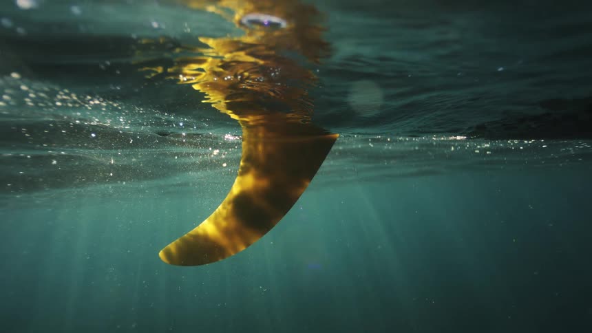 A mesmerizing slow-motion underwater view of a surfboard fin in the ocean as beautiful golden sun rays beam through the water's surface