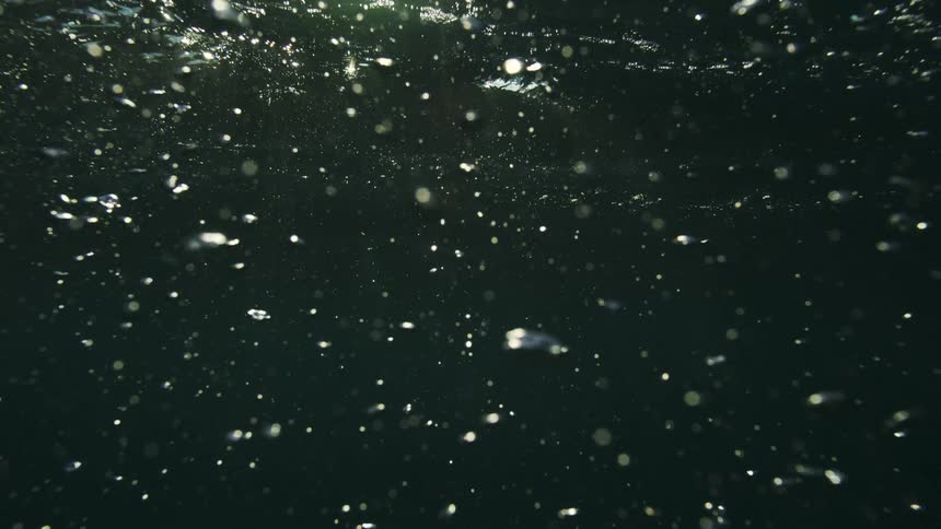 Ethereal underwater view of illuminated particles and bubbles floating gently upwards through dark water towards the sunlit surface