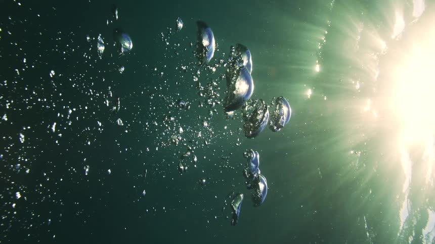 Mesmerizing underwater view of air bubbles rising in slow motion toward the bright sunlight and water's surface