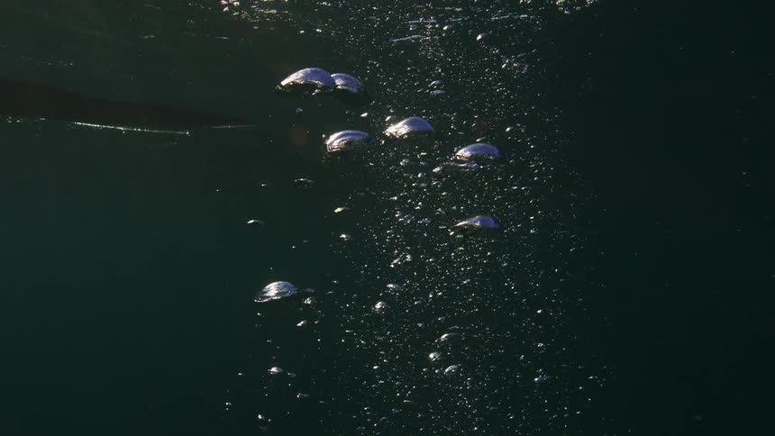 Slow motion underwater view of sunlit air bubbles rising through dark water to the surface