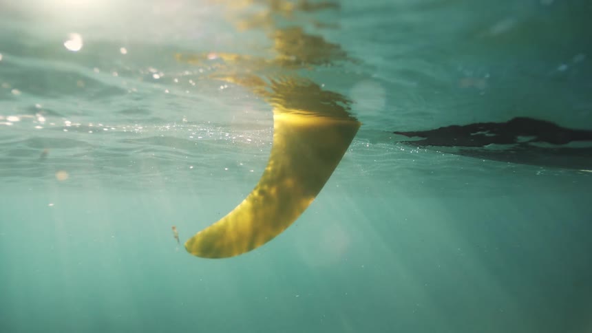 A serene underwater shot captures a surfboard fin submerged in clear water with sunlight filtering from above