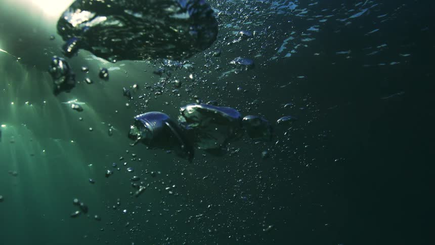 An underwater slow-motion shot captures beautiful air bubbles rising towards the sunlit ocean surface