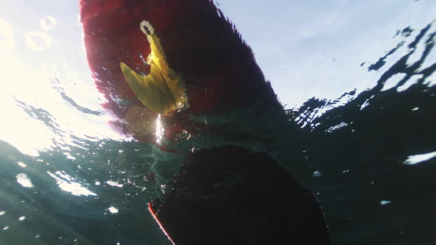 From beneath the tranquil ocean surface, a red surfboard and a surfer's legs are silhouetted against the bright sun in slow motion