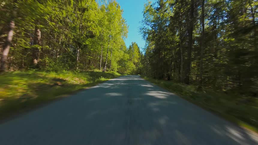 A smooth point-of-view drive along a paved country road through a lush green forest on a bright sunny day