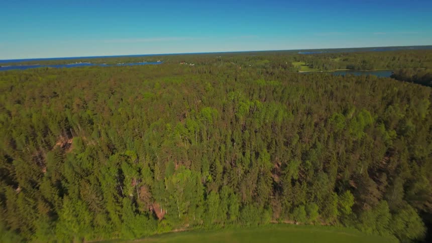 Drone tilts up from a lush green field to reveal a vast forest landscape leading to the distant sea under a clear blue sky