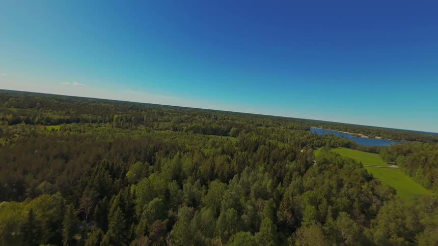 Ascending aerial shot flies over a lush green forest, revealing a picturesque lake landscape under a clear blue sky