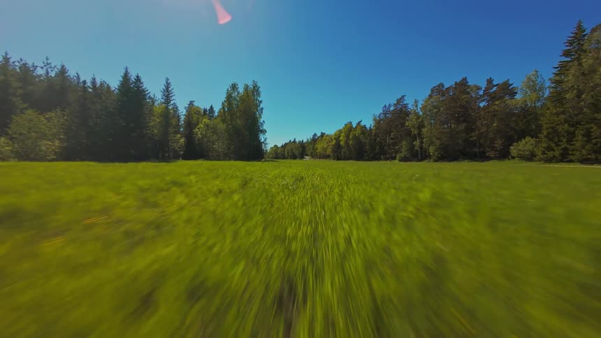 A dynamic low-level flight speeds across a sunlit green meadow bordered by a dense forest under a clear blue sky