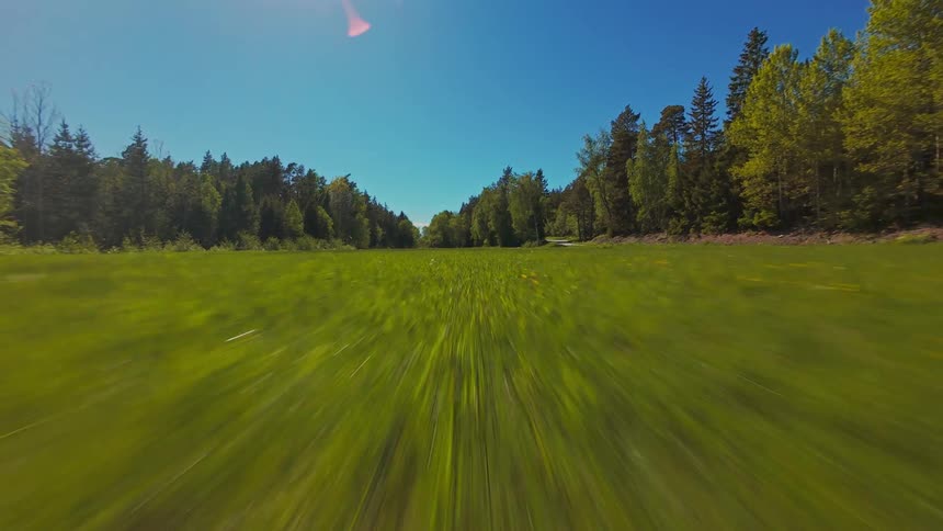 Exhilarating first-person view drone flight soaring low across a lush green meadow between two forests on a sunny day
