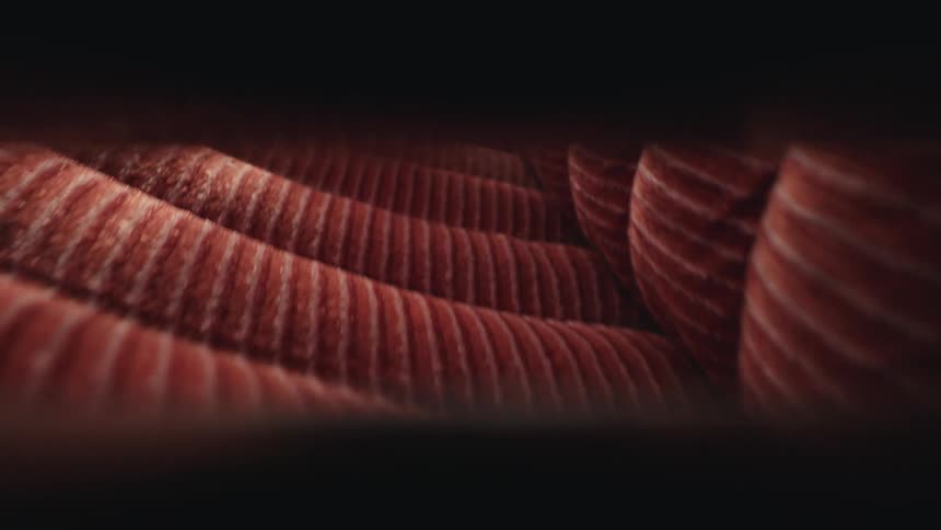 A slow macro pull-out shot reveals the texture of a vintage red velour car seat next to a seatbelt buckle