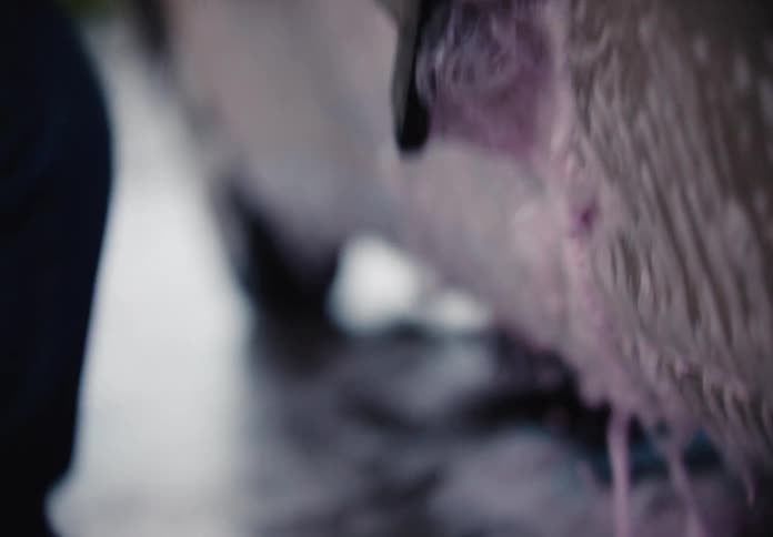 Dreamy slow-motion close-up of a person washing a car with a brush and purple foam