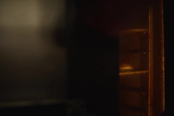 Trays of freshly baked pastries slowly rotate inside a dark commercial oven, illuminated by a warm light