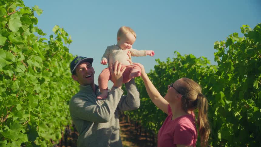 A happy young couple lifts their baby in the air while standing together in a sunny vineyard