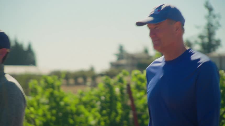 Two male vintners walk through the rows of grapevines at their vineyard on a sunny day