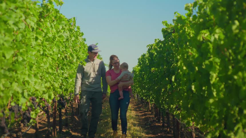 A young couple holding their baby walk together down a row of grapevines in their family vineyard