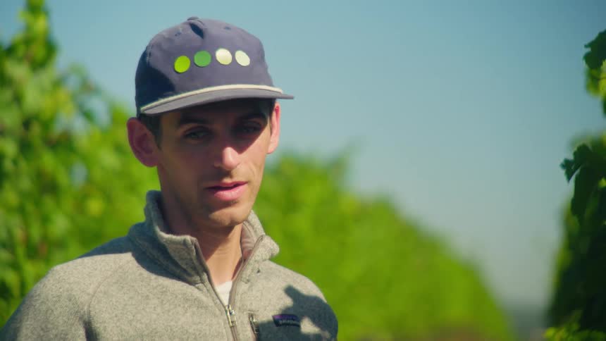 A young farmer in a cap stands thoughtfully between rows of lush green vines at a vineyard on a sunny day