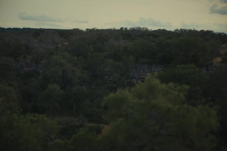 A wide, static shot of a dense, green forest with a rock cliff face in the background under an overcast sky