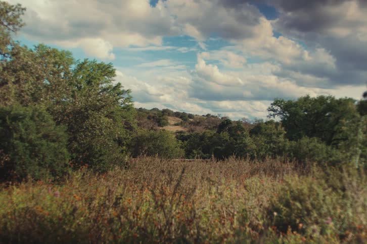 A scenic landscape featuring a field of grass, green trees, and distant hills under a dramatic, cloudy sky
