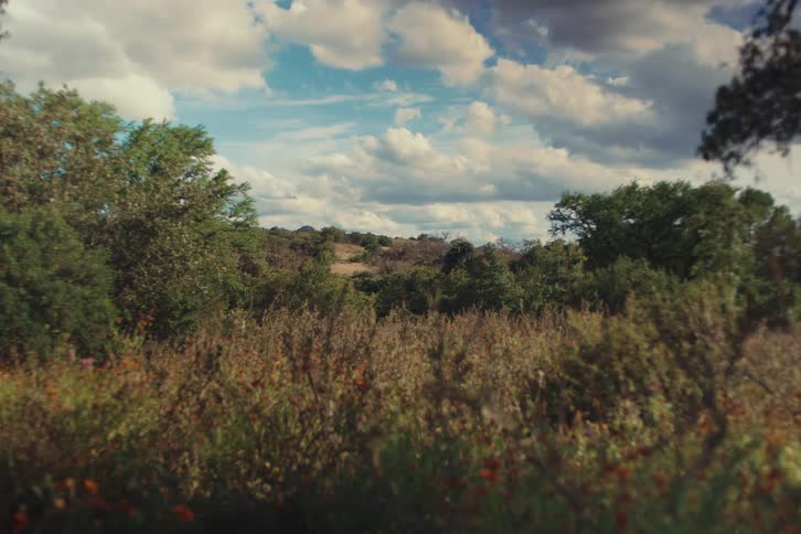 A tranquil view of a lush meadow with trees and rolling hills under a vast, partly cloudy sky