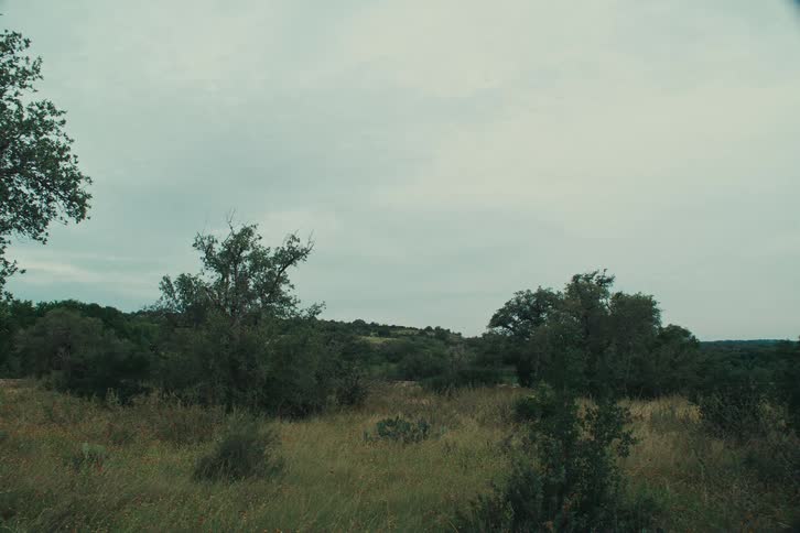 A serene, wide shot of a hilly, green landscape with trees and bushes under a vast, overcast sky