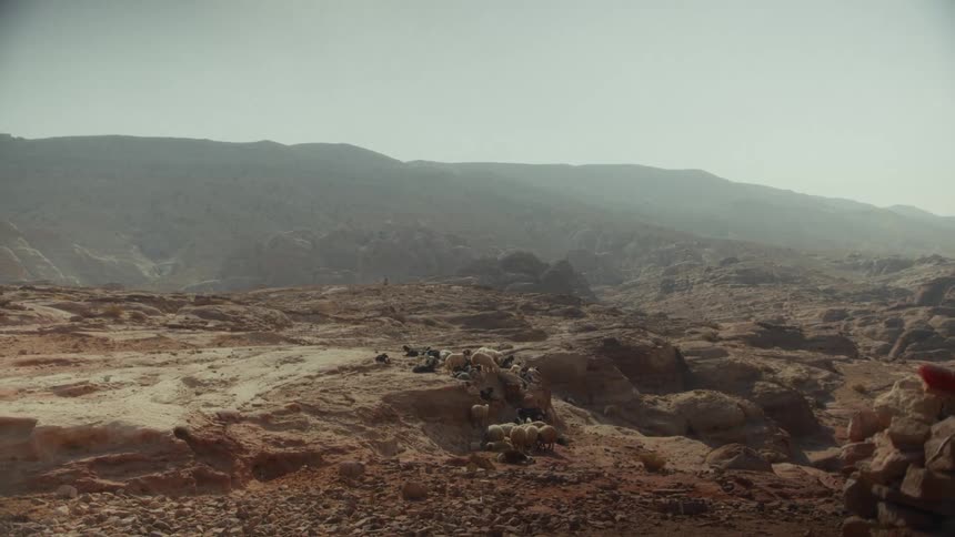 A herd of sheep and goats rests on a rocky hillside in a vast, arid mountain landscape