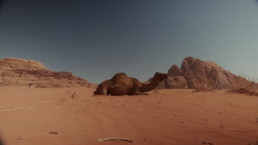 A low-angle wide shot shows a single camel resting on the red sand of a vast desert with rock formations in the background