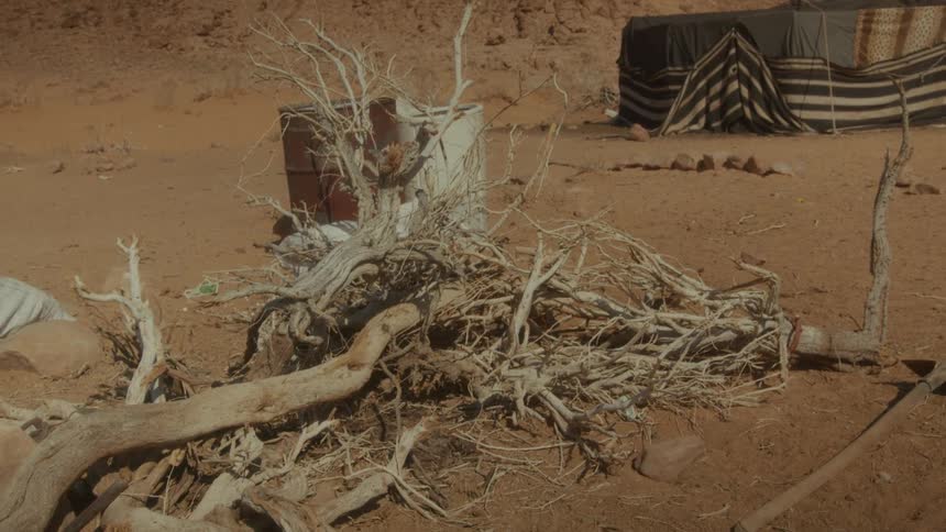 A traditional Bedouin campsite with a tent and firewood sits in the arid desert