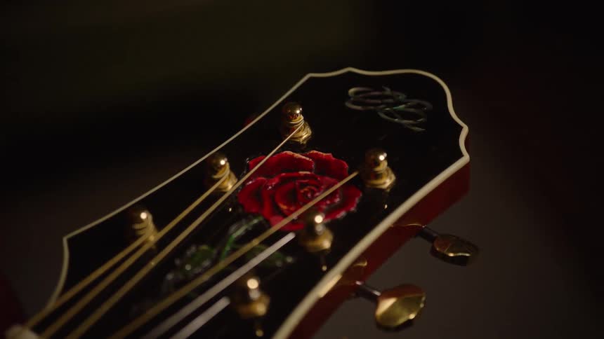 A slow focus pull across the headstock of an acoustic guitar, revealing a beautiful red rose design and gold tuners