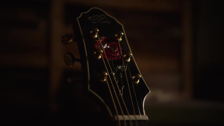 A moody close-up of a guitar headstock reveals a beautiful red rose inlay