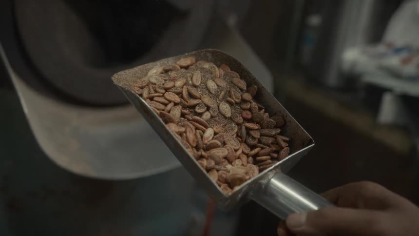 A hand holds a scoop full of freshly spiced watermelon seeds in front of an industrial roaster