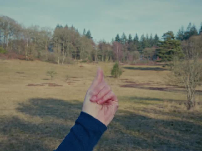 A hand snaps its fingers in a good luck gesture against a backdrop of a tranquil meadow and forest