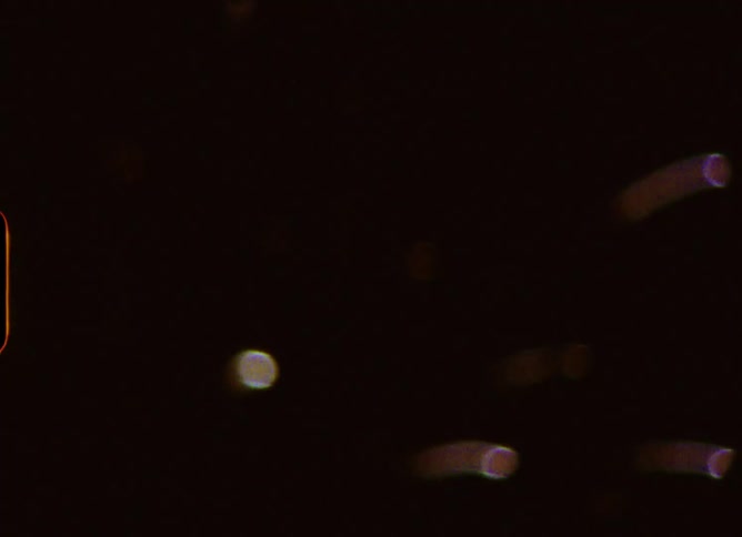 Authentic vintage super 8 film scan shows abstract, out-of-focus bokeh lights from a fiber optic lamp fading to black