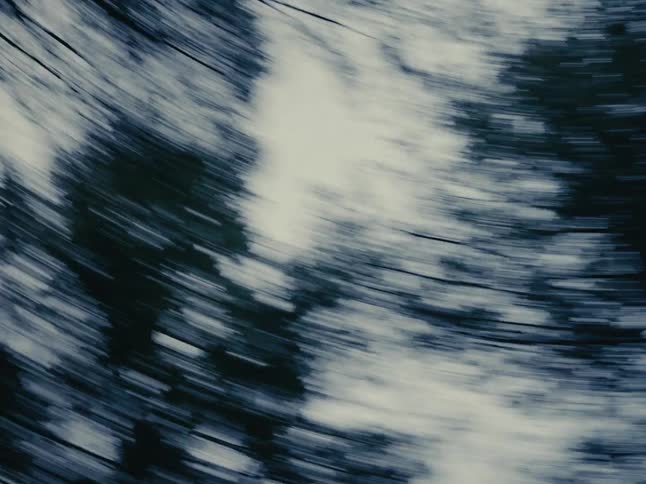 A dizzying, abstract low-angle shot spins through a dark, moody forest, looking up at silhouetted trees against the sky
