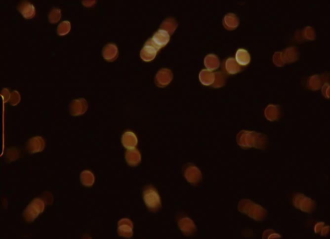 Vintage archive footage of a beautiful firework display exploding into colorful bokeh lights at night