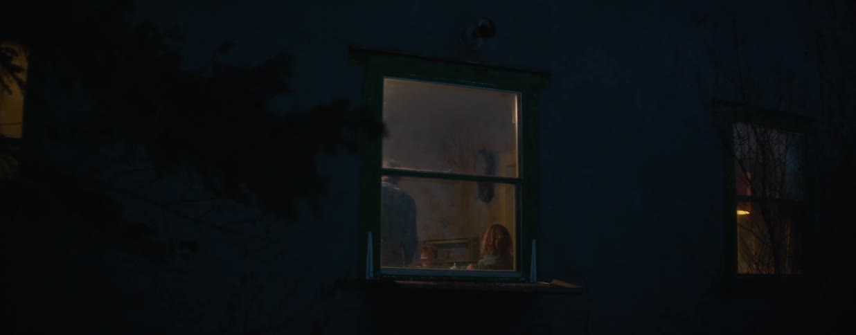Exterior shot of a man and a woman sitting at a table inside their cozy house at night, viewed through a warmly lit window
