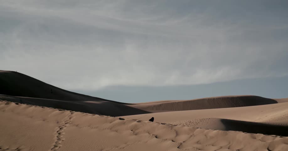 A black raven takes flight in slow motion across a vast and windy desert sand dune landscape