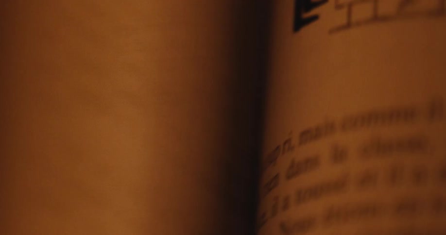 A close-up, fast-paced shot of someone flipping through the pages of an old, illustrated French book in warm light
