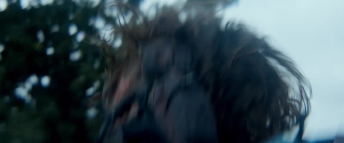 Shaky handheld footage follows two young people as they run desperately through a field and collapse in the grass
