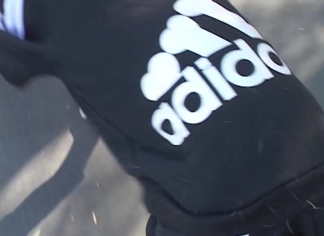An overhead shot follows a small dog wearing a humorous black and white 'adidog' tracksuit while walking on the pavement