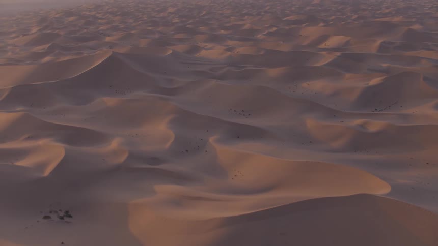 The desert is full of dunes