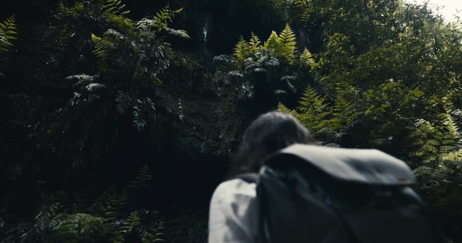 A hiker with a backpack stands still in a moody, dark forest looking at a lush wall of green ferns as water drips down