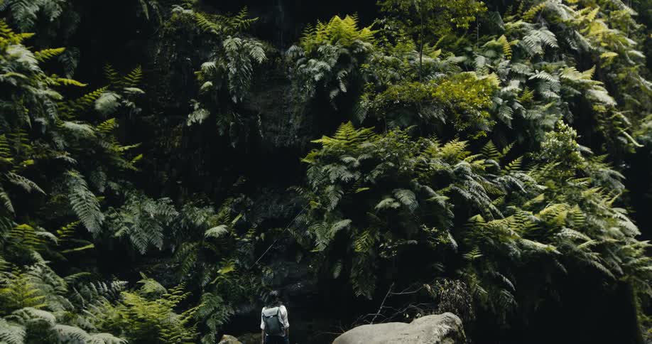 A lone hiker with a backpack stands on a boulder, dwarfed by a massive, lush rock wall covered in vibrant green ferns as water trickles down
