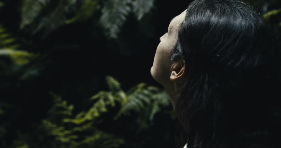 A serene woman with dark hair finds a moment of peace while looking up in a lush, dark forest