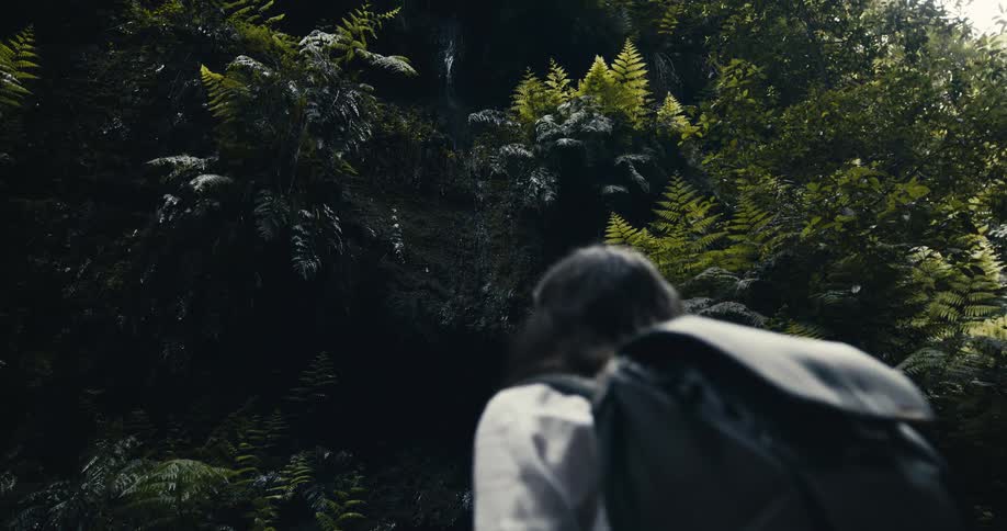 A female hiker with a backpack gazes up in wonder at a lush, dripping rock wall covered in ferns in a dark, atmospheric forest